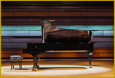 Concert Fabrizio Chiovetta